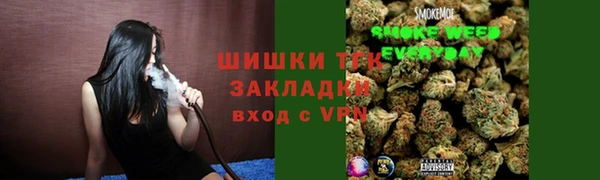 твердый Иннополис