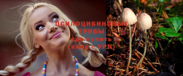 твердый Иннополис