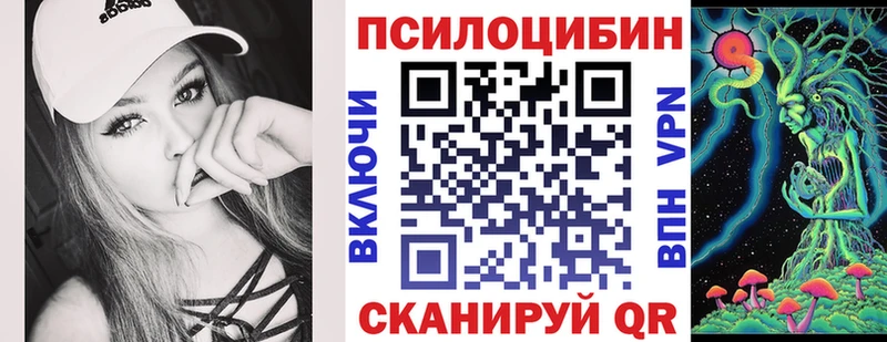 Купить закладки  Дальнереченск  Галлюциногенные грибы GOLDEN TEACHER 